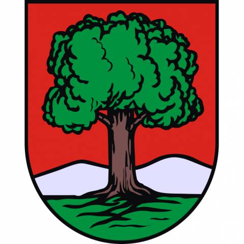 Miasto Wałbrzych 